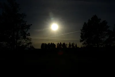 DSC_3022 (Large).JPG